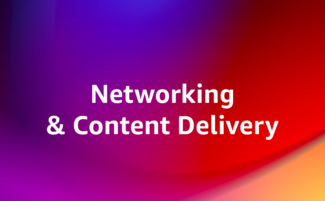 Networking & Content Delivery (NET)